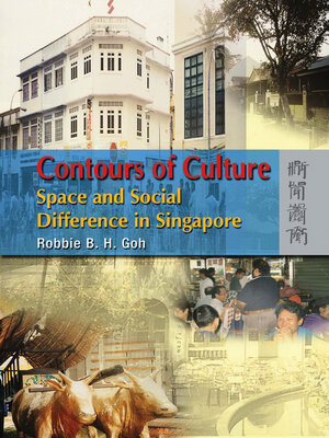 cover image of Contours of Culture